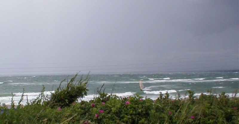 Bygevejr med windsurfere ved Rgeleje,
vindstyrke ca. 11 m/sek.